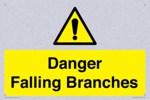Danger Falling Branches